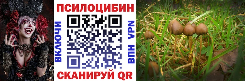 Псилоцибиновые грибы мицелий  МЕГА онион  Сланцы 